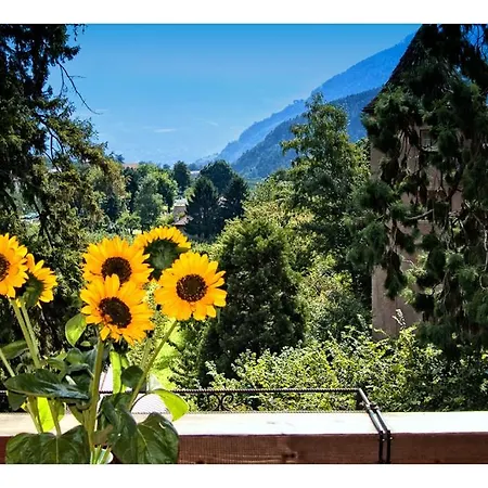 Apparthotel Taufenbrunn Parcines Esterno foto