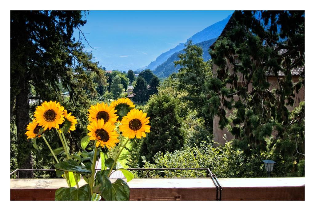 Taufenbrunn Aparthotel 3*